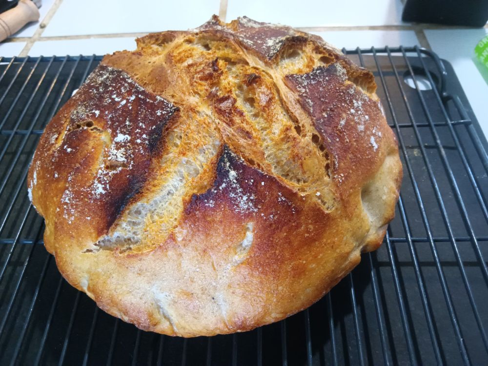 A loaf of homemade sourdough bread 