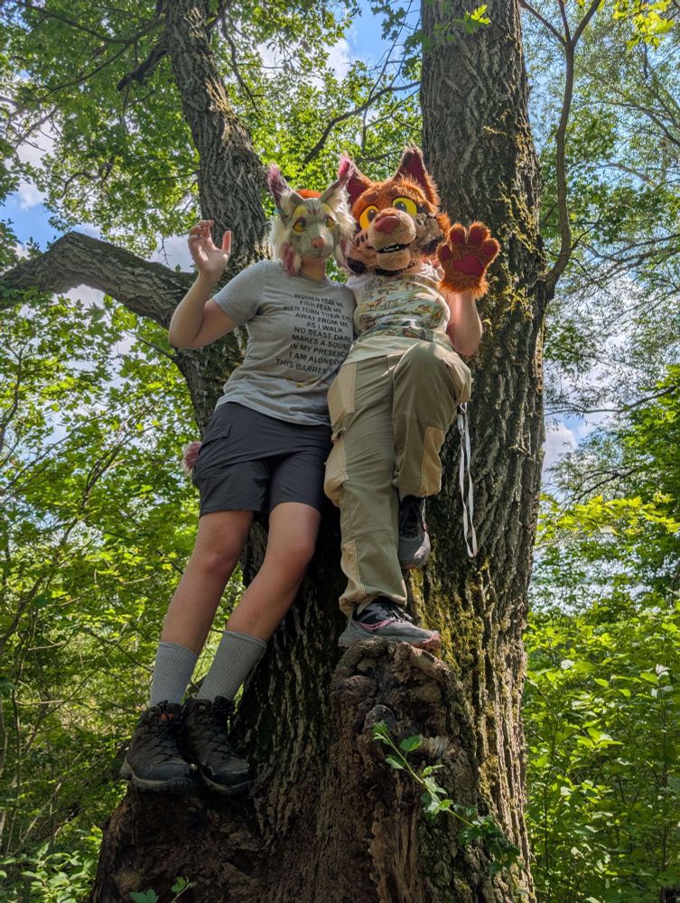 2 people climbed up a tree looking down at the viewer, they have an arm behind each others back and are waving at the camera
The one on the left has a lynx mask and the person on the right had a bobcat fursuit 