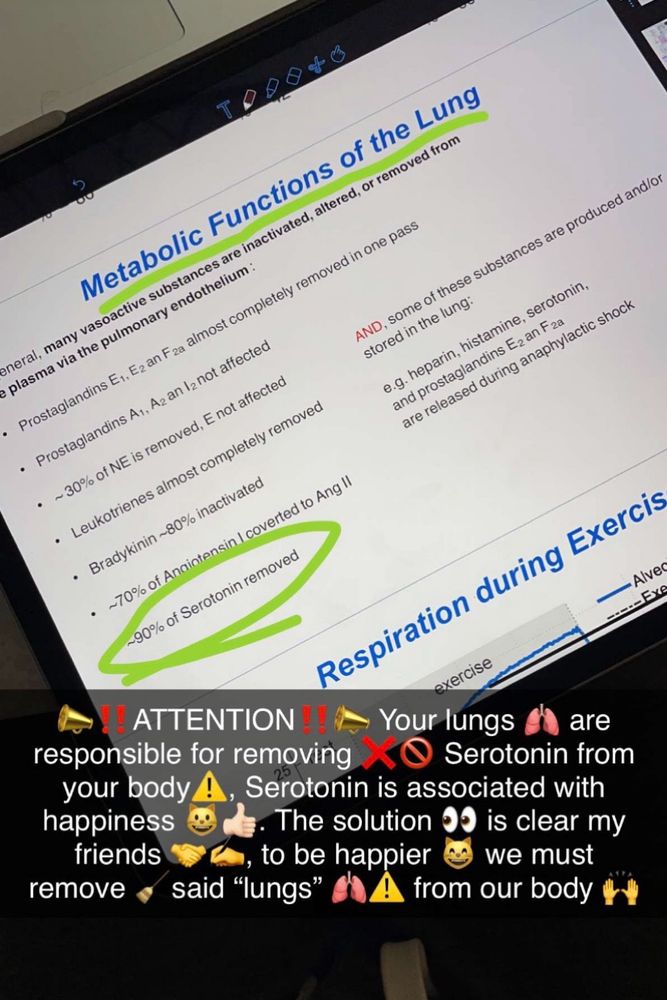 The image shows a screenshot of study notes on “Metabolic Functions of the Lung” on a tablet. A portion of the text is highlighted in green, stating, “70% of Serotonin removed.” Below the notes, there is a Snapchat caption overlay that humorously reads:

“📣‼️ATTENTION‼️📣 Your lungs 🫁 are responsible for removing ❌⛔ Serotonin from your body ⚠️. Serotonin is associated with happiness 😃👍. The solution 👀 is clear my friends 🤝✍️, to be happier 😺 we must remove 🧹 said ‘lungs’ 🫁⚠️ from our body 🙌.”

The caption humorously exaggerates the scientific fact to suggest a satirical and absurd “solution” for maintaining happiness.