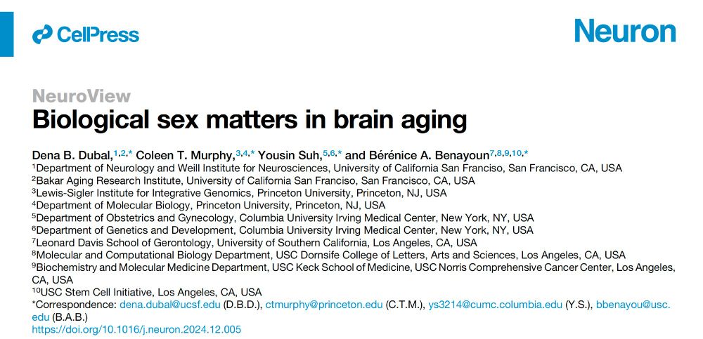 Biological sex matters in brain aging
