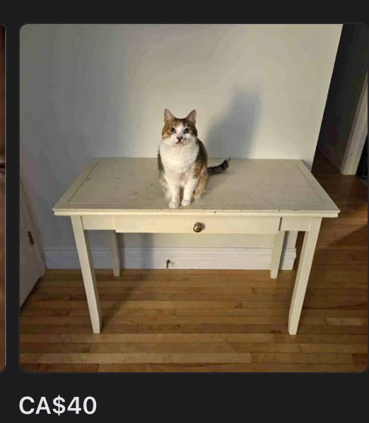 a Facebook Marketplace ad for a $40 desk -- there's a cat sitting on it in the photo.