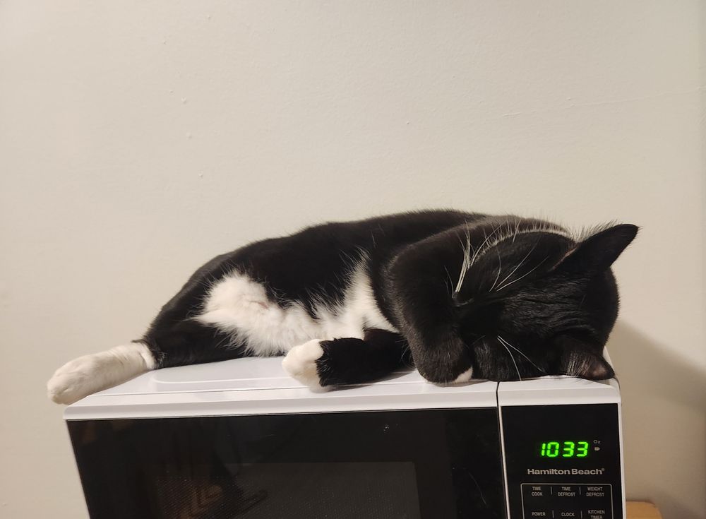 My tuxedo cat, soup, asleep on top of a white microwave with the time set to 10:33. His paw is over his nose. The wall behind him is plain white.