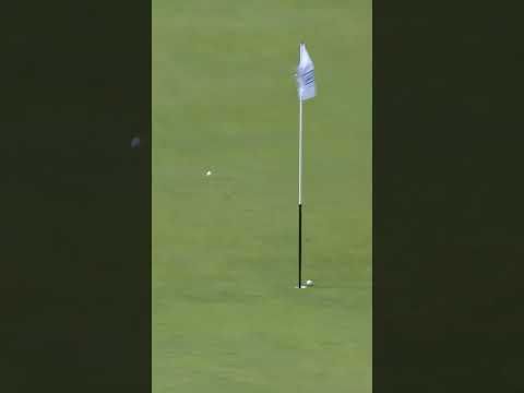 INSANE Hole-in-One… Off Another Ball!? 🤯🤯 Mimi Rhodes #golf #aigwo