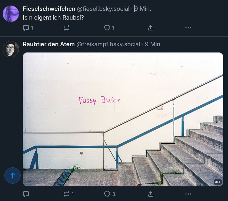 Screenshot meiner Skyline. 
Erster Skeet:
‪Fieselschweifchen‬
 ‪@fiesel.bsky.social‬
· 10 Min.
Is n eigentlich Raubsi? 

Zweiter Skeet:
‪Raubtier den Atem‬
 ‪@freikampf.bsky.social‬
· 10 Min.
Das Bild zeigt eine minimalistische Betonszenerie mit einer Treppe auf der rechten Seite und einer weißen Wand im Hintergrund. Auf der Wand steht in pinker Schrift das Graffiti „Pussy Juice“. Ein Handlauf verläuft schräg entlang der Wand parallel zur Treppe. Der Betonboden ist sauber, aber vereinzelt wächst etwas Gras aus Ritzen. Das Licht ist hart und erzeugt klare Schatten, was auf starkes Sonnenlicht hindeutet. Das Gesamtbild wirkt still, strukturiert und urban.
