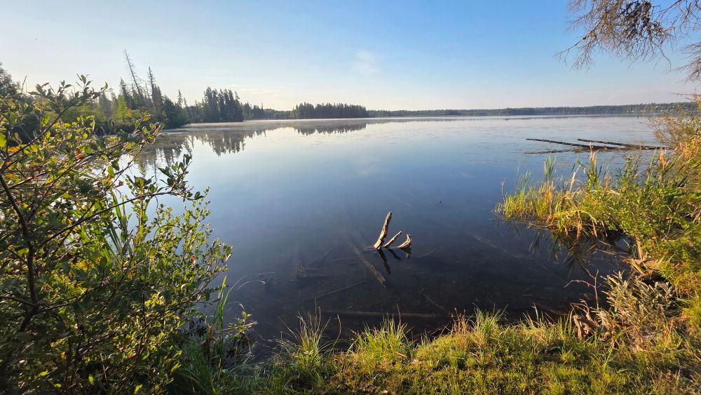 Getting the morning light is easier now that the days are shorter