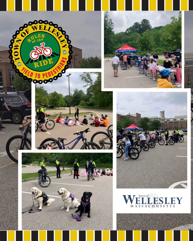 A collage of photos from the 2025 “Rules of the Ride” bike safety event in Wellesley, MA. The central image features the official "Rules of the Ride" logo with a red bike and the phrase “Yield to Pedestrians” encircled by a bike chain design. Surrounding images show middle school students with bikes participating in safety lessons, practicing riding, engaging with local police officers, and visiting an info tent hosted by Landry’s Bicycles. One photo features three service dogs sitting calmly with handlers in safety vests. The collage includes the Town of Wellesley seal and decorative yellow and black striped borders.