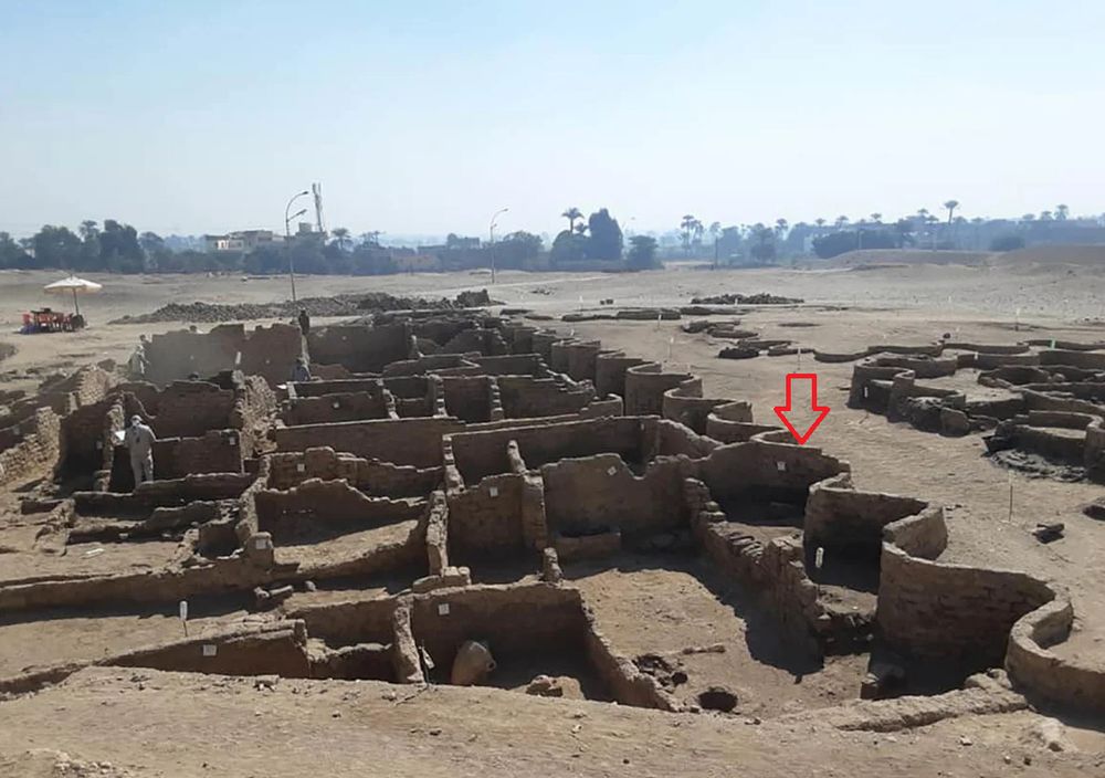 The ruins of a housing complex near a main road, with an open red arrow indicating the ruins of a serpentine wall that divides the complex from the road.
From Dr. Zahi Hawass/Facebook
