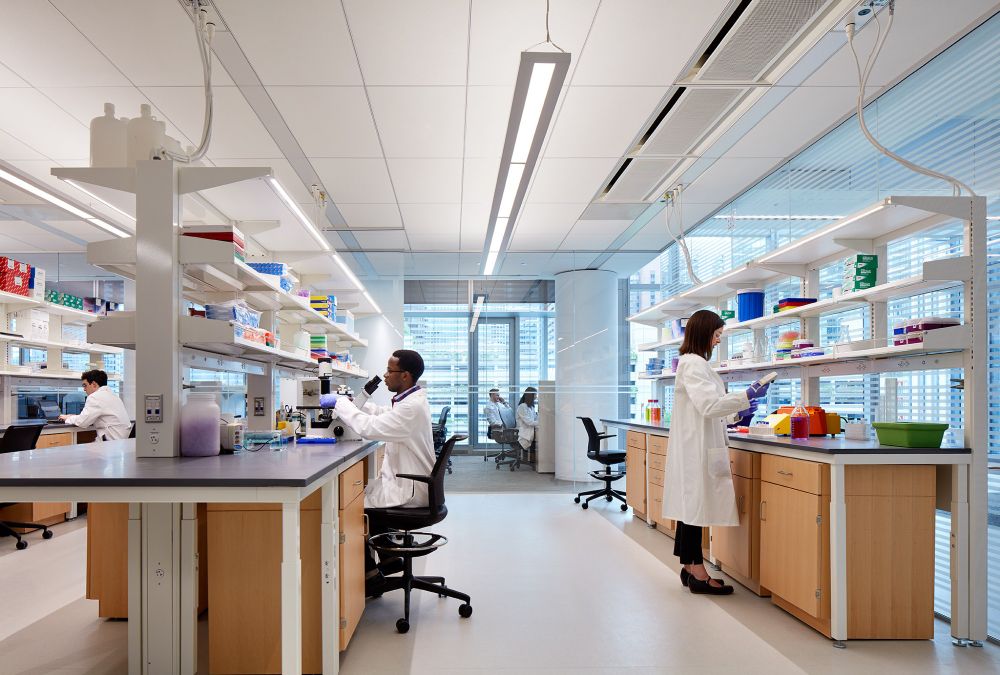 A research lab from Northwestern, chosen because it's generic and sort of zoomed out.  Three scientists are visible in lab coats, and there are benches and shelving, with glass along one wall showing another high-rise building nearby. Overhead fluorescents provide light.