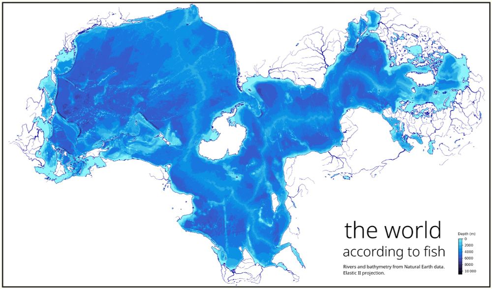 A version of a projection map of the globe titled "The world according to fish", using Elastic II projection.  It's a blue blob of various shades of blue with land being white and featureless.