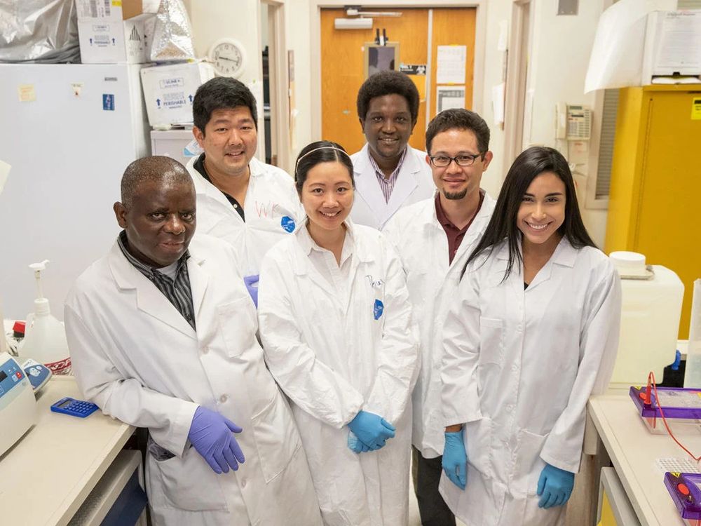 From left to right, Dr. Albert Mulenga, William Tae Heung Kim, Dr. Thu Thuy Nguyen, Dr. Alex Kiarie Gaithuma, Dr Hassan Hakimi and Emily Bencosme Cuevas. Kim is a Texas A&M researcher who was detained in San Francisco last Monday despite being a permanent resident of the United States and a green card holder.

COURTESY OF TEXAS A&M UNIVERSITY