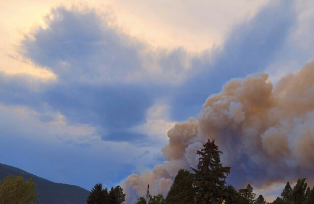 International crews tackle fire south of Grand Forks in U.S.; expecting wind may pick up - Penticton News