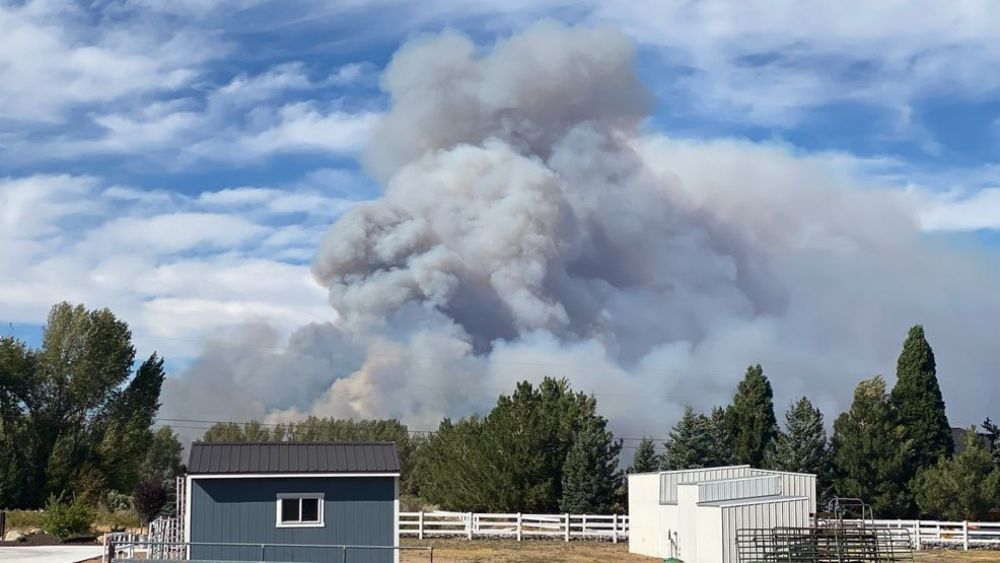 Fire erupts in Washoe Valley prompting evacuations, shuttering I-580 in both directions