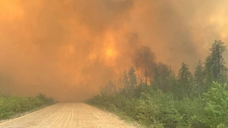Heatwave leads to erratic wildfire behaviour as evacuations continue