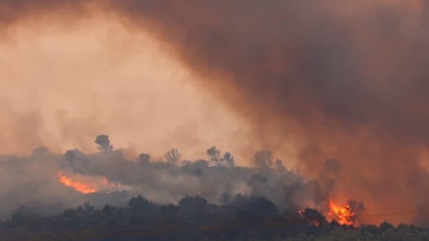 French firefighters were battling on Wednesday to control the country's biggest wildfire in almost 80 years, with the blaze in the southern Aude region having already swept through an area bigger than...