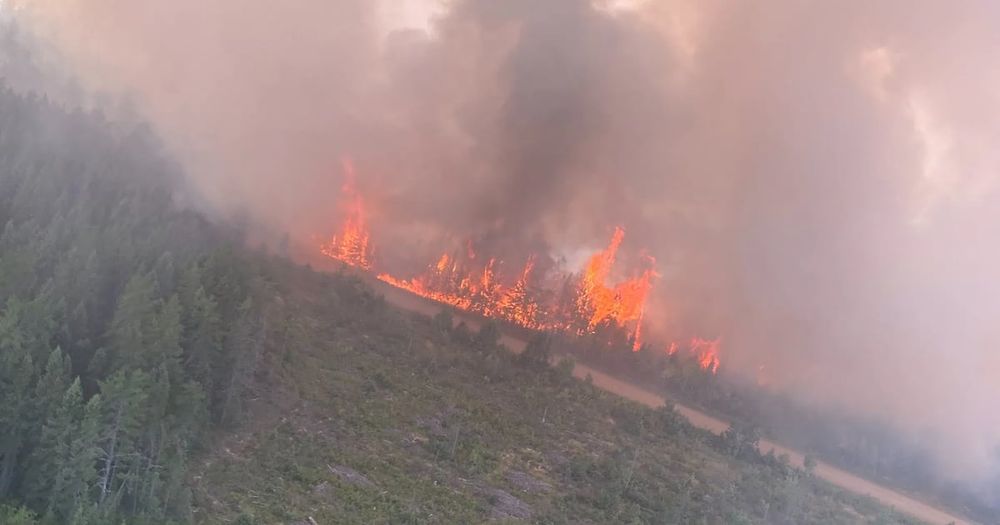 With nearly 730 wildfires burning nationwide, Canada is grappling with its second-worst wildfire season in history. Fire crews are stretched coast to coast.