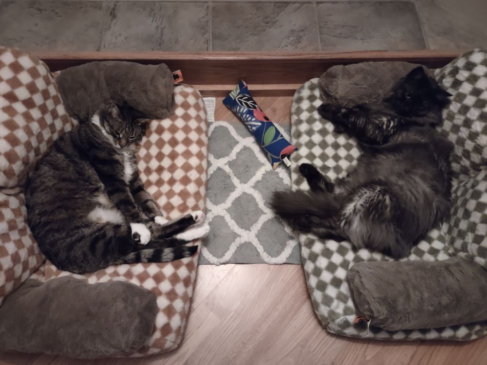 Randall and William sleeping on their couches by the fireplace 