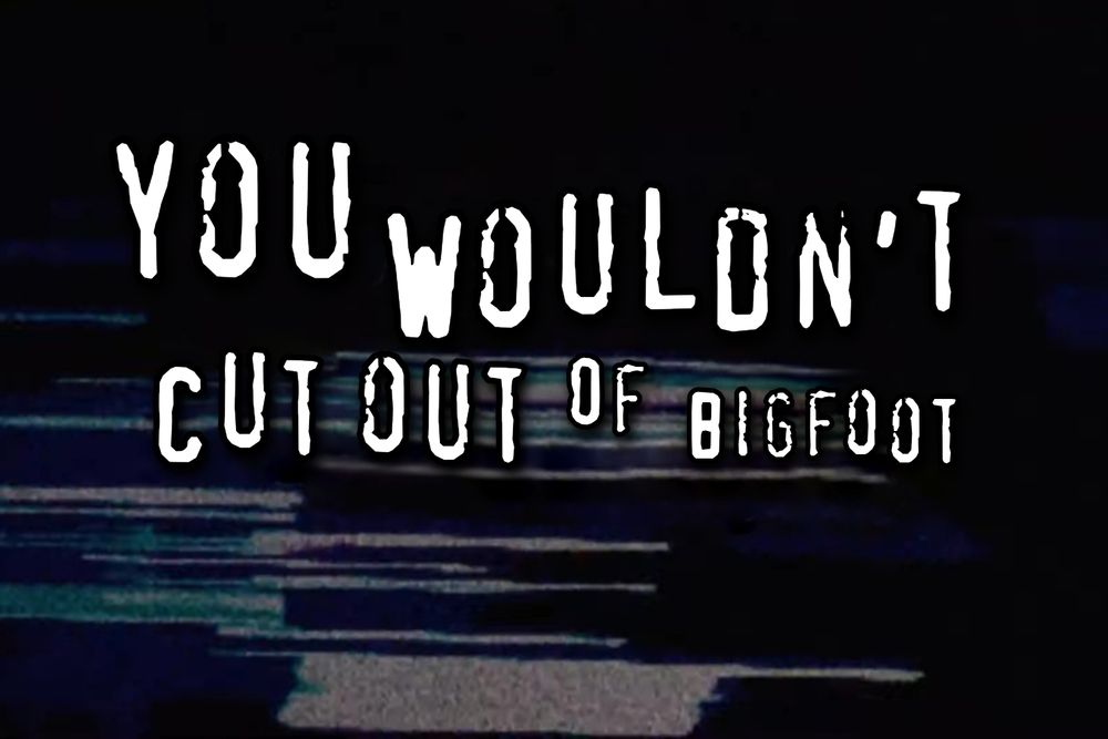 You wouldn't download a car graphic that instead says you wouldn't cut out of Bigfoot 