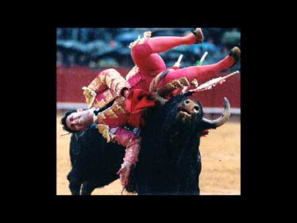 el oso yonki - pakirri