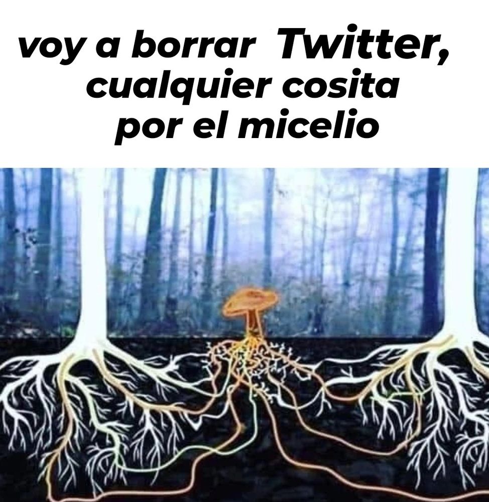 pollyfan fucks o54 yis ✨ (@buenourbano.bsky.social) — Bluesky