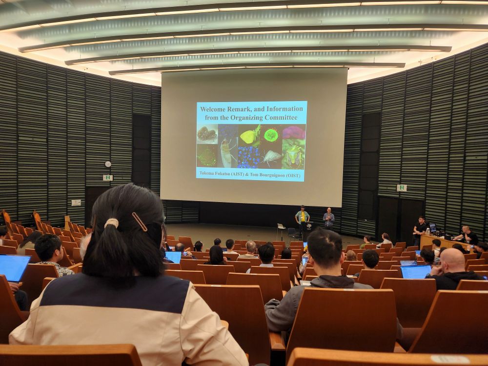 Auditorium of the Wolbachia conference. The slide shows "Welcome Remark, and Information from the Organizing Committee"