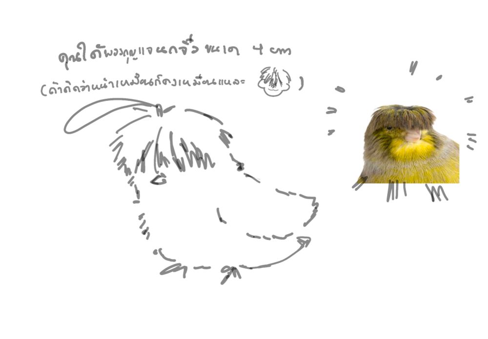 Comment image