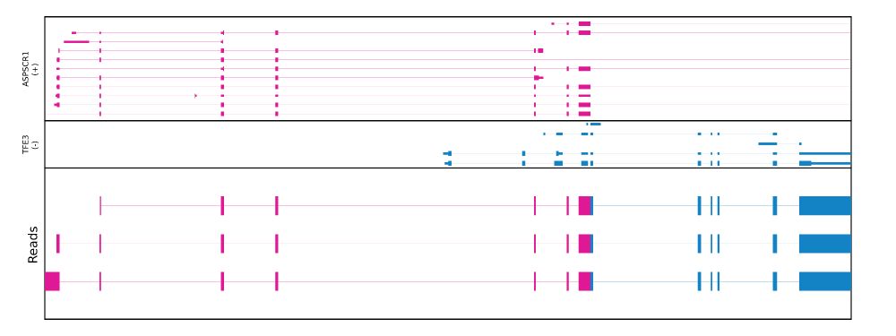 Fusion transcript plot