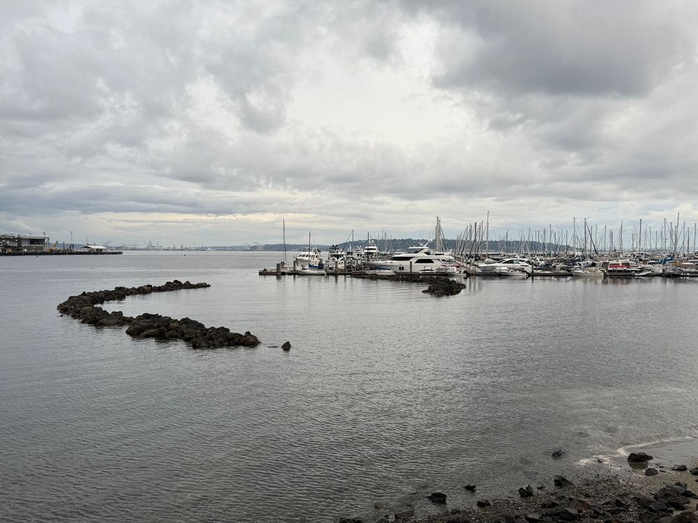 A break near a harbor, grey sky