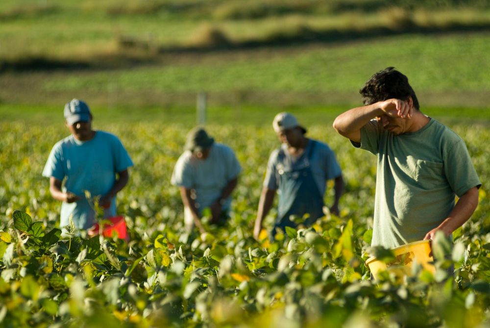 Stand in solidarity with European farm workers: end exploitation now!