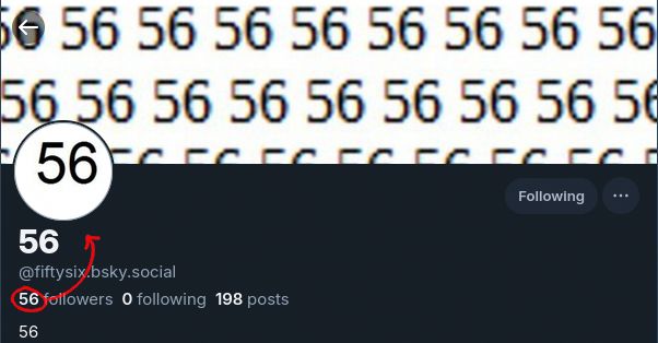 @fiftysix.bsky.social has 56 followers