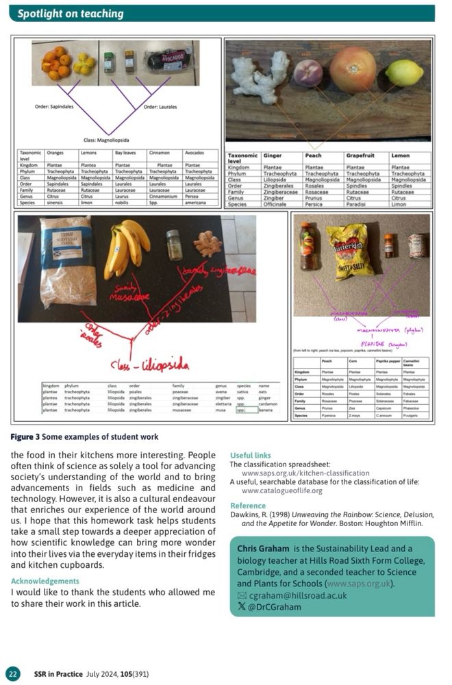 P3 of Graham, C. (2024) Kitchen classification. School Science Review. 391, 20-22. https://www.ase.org.uk/resources/school-science-review/issue-391
