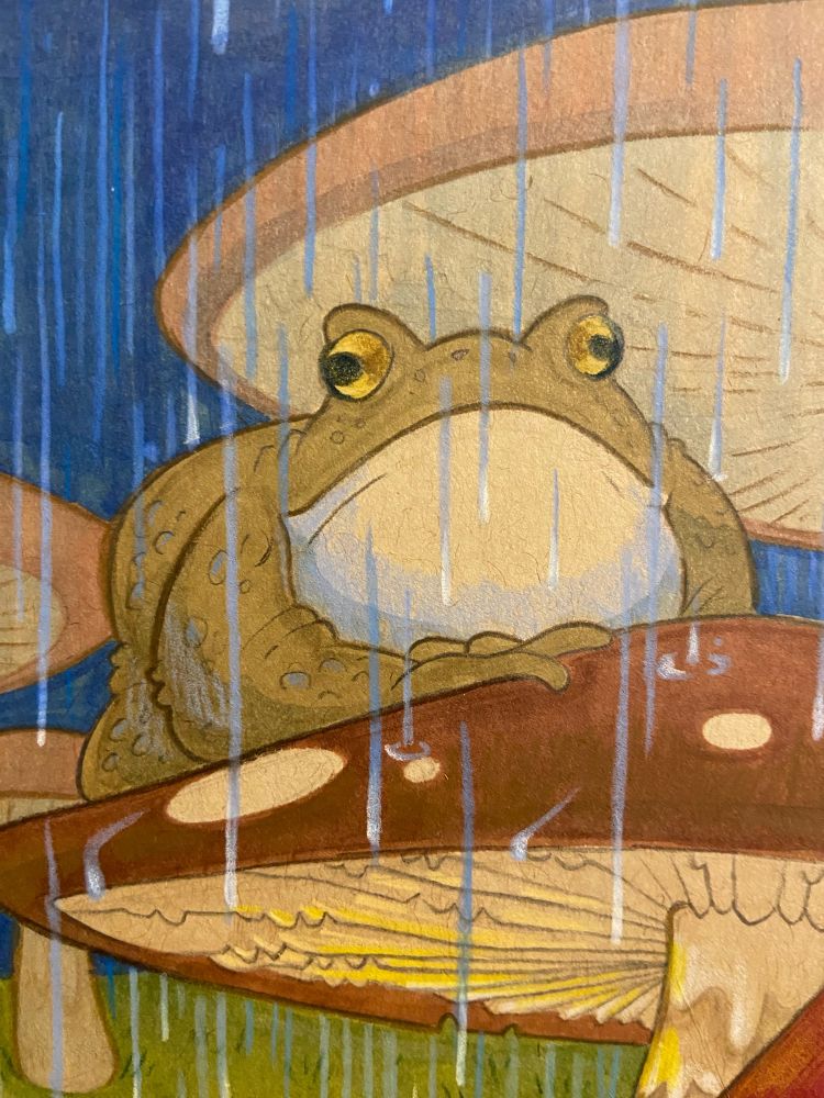 A closeup of the toad in the drawing