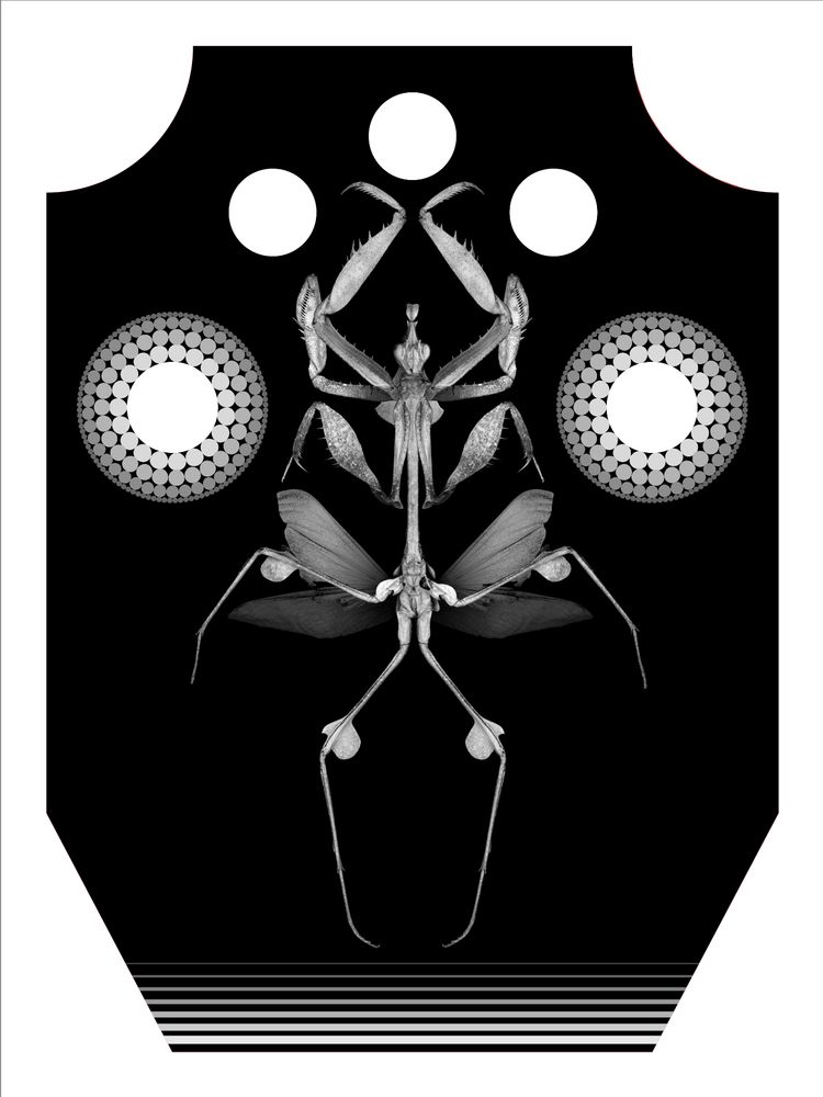 black and white depth map of a many armed praying mantis