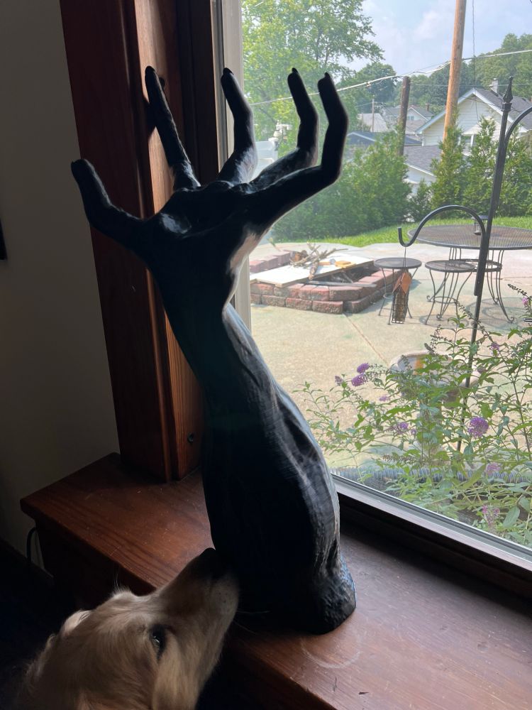 A discordant black arm on a window sill getting snuffles by a dog. 