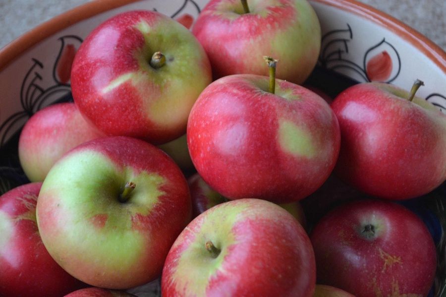 Shiny red and green apples in a painted pottery bowl