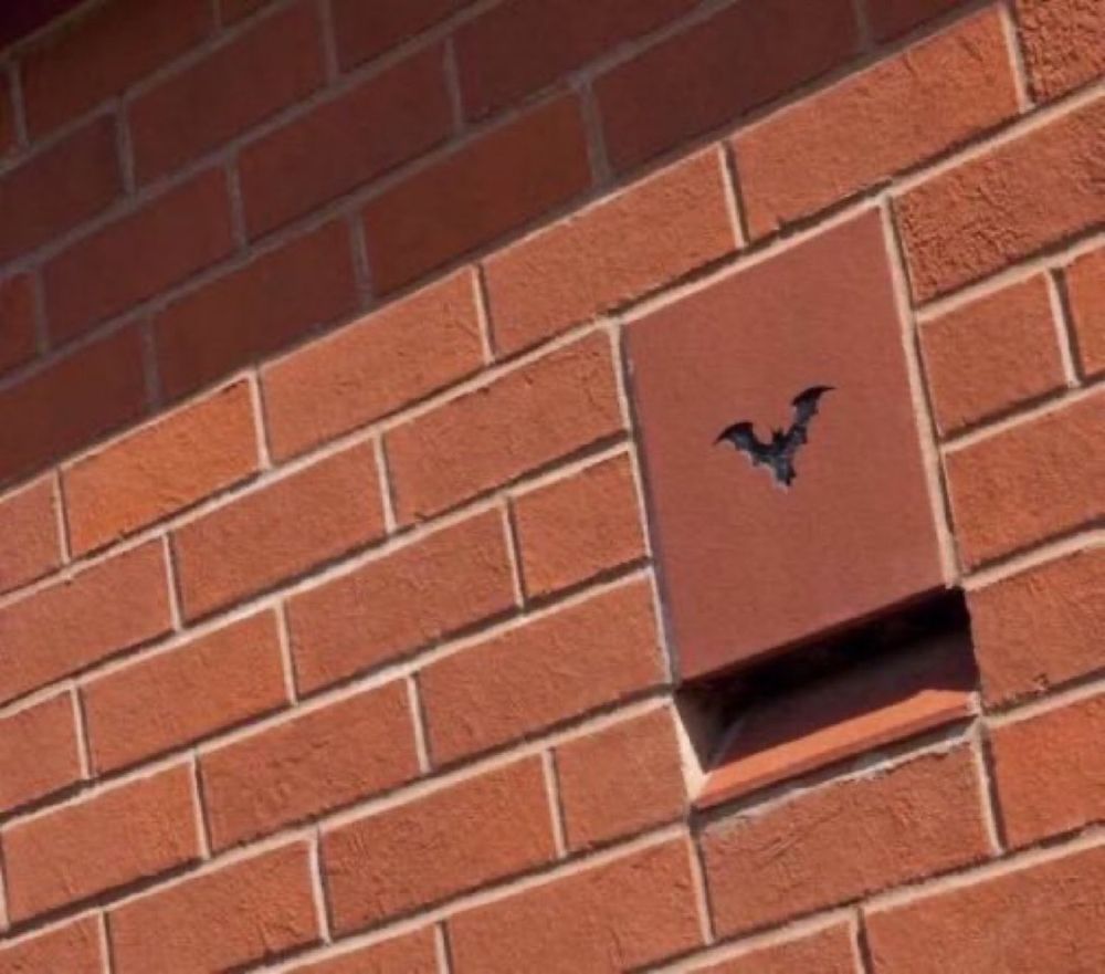 Bat brick for new build home, with bat logo