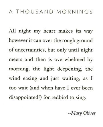 The poem, A Thousand Mornings by Mary Oliver
All night my heart makes its way / however it can over the rough ground / of uncertainties, but only until night / meets and then is overwhelmed by / morning, the light deepening, the / wind easing and just waiting, as I / too wait (and when have I ever been / disappointed?) for redbird to sing.