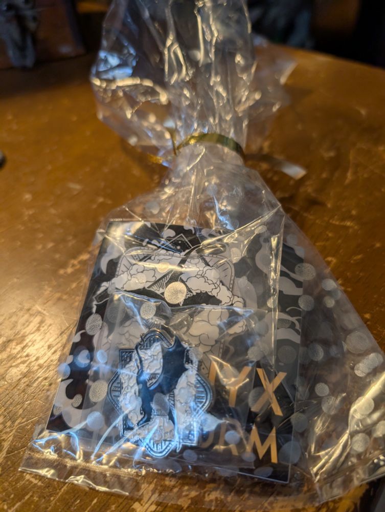 A small bag with an Onyx Storm sticker and pin. 