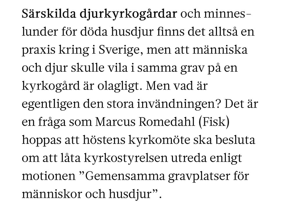 Särskilda djurkyrkogårdar och minnes-lunder för döda husdjur finns det alltså en praxis kring i Sverige, men att människa och djur skulle vila i samma grav på en kyrkogård är olagligt. Men vad är egentligen den stora invändningen? Det är en fråga som Marcus Romedahl (Fisk) hoppas att höstens kyrkomöte ska besluta om att låta kyrkostyrelsen utreda enligt motionen ”Gemensamma gravplatser för människor och husdjur”. 