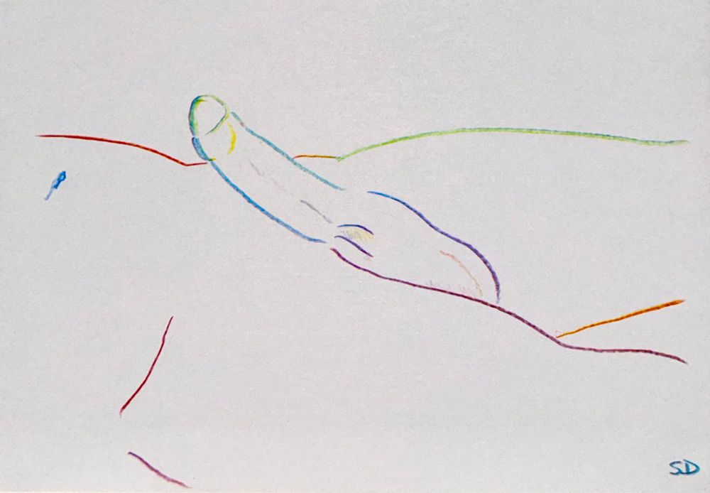 A multicolored pencil sketch which appears to show an uncut penis in a slightly firm state
