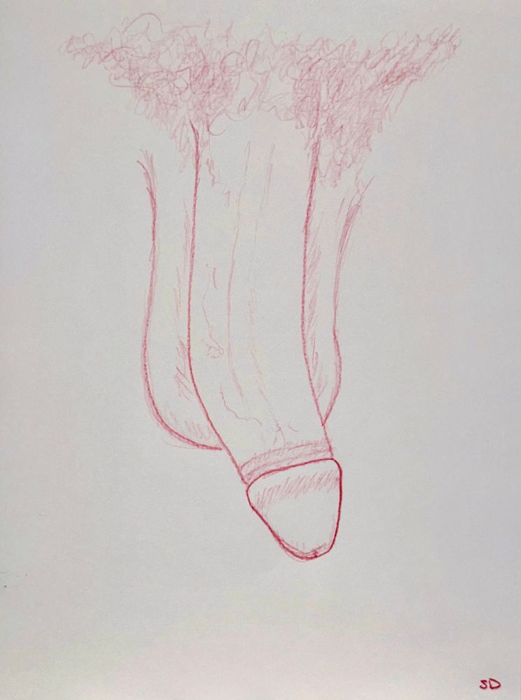A colored pencil sketch in red of a penis and scrotum framed by pubic hair