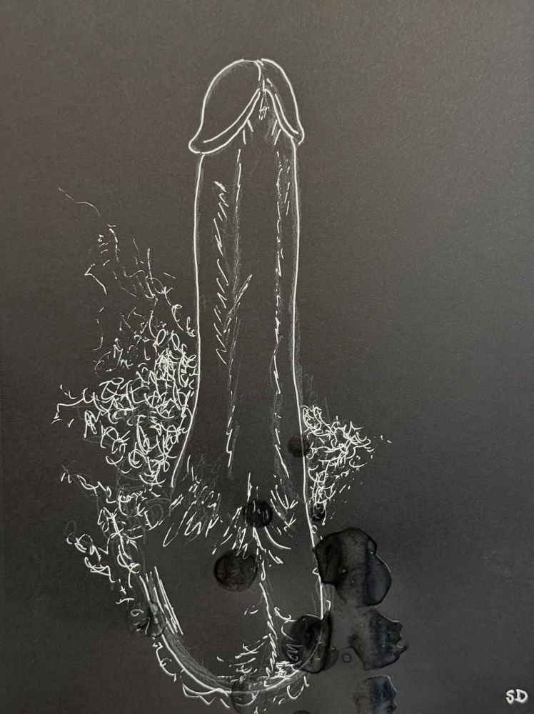 The background is black while the drawing in front is in white colored pencil and gel pen of an anatomical sketch depicting a penis, the scrotum, and the surrounding pubic hair. There is a mysterious liquid, applied and droplets to the drawing which have dried.