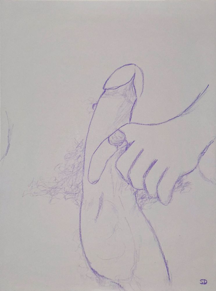 A colored pencil sketch in lavender of an erect penis Being grasped by the thumb and forefinger (which features a ring) with low hanging scrotum and framed by pubic hair