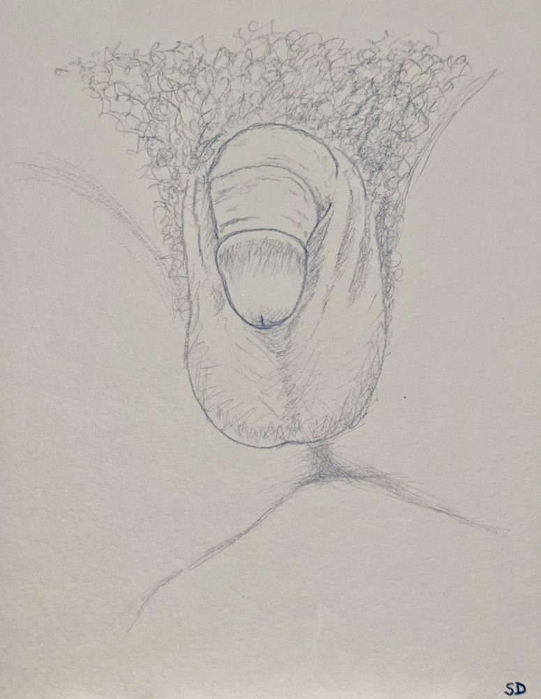 A colored pencil sketch in dark blue of a flaccid, penis and scrotum, framed by pubic hair and an indication of the butt