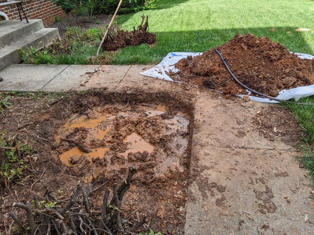 A wide hole about a foot deep by my sidewalk. It's very muddy and all the dirt is piled behind it. The removed roots sit further back in the yard.