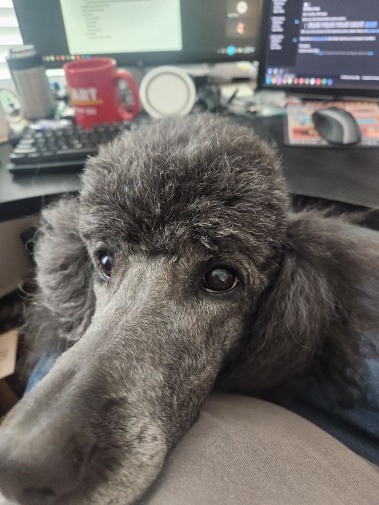 Floof