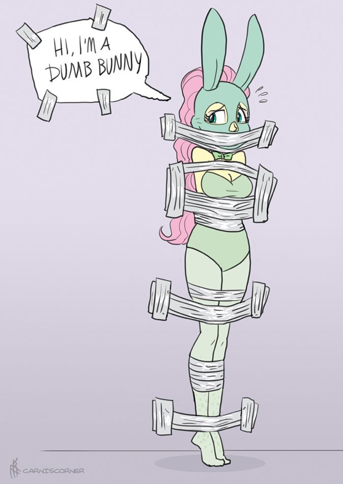 Fluttershy from My little Pony: Equestria Girls in a Playboy bunny outfit with a bunny gimp mask tied to a wall with tape, with a speechbubble made ouf of cardboard taped next to her that says "Hi, I'm a dumb bunny"