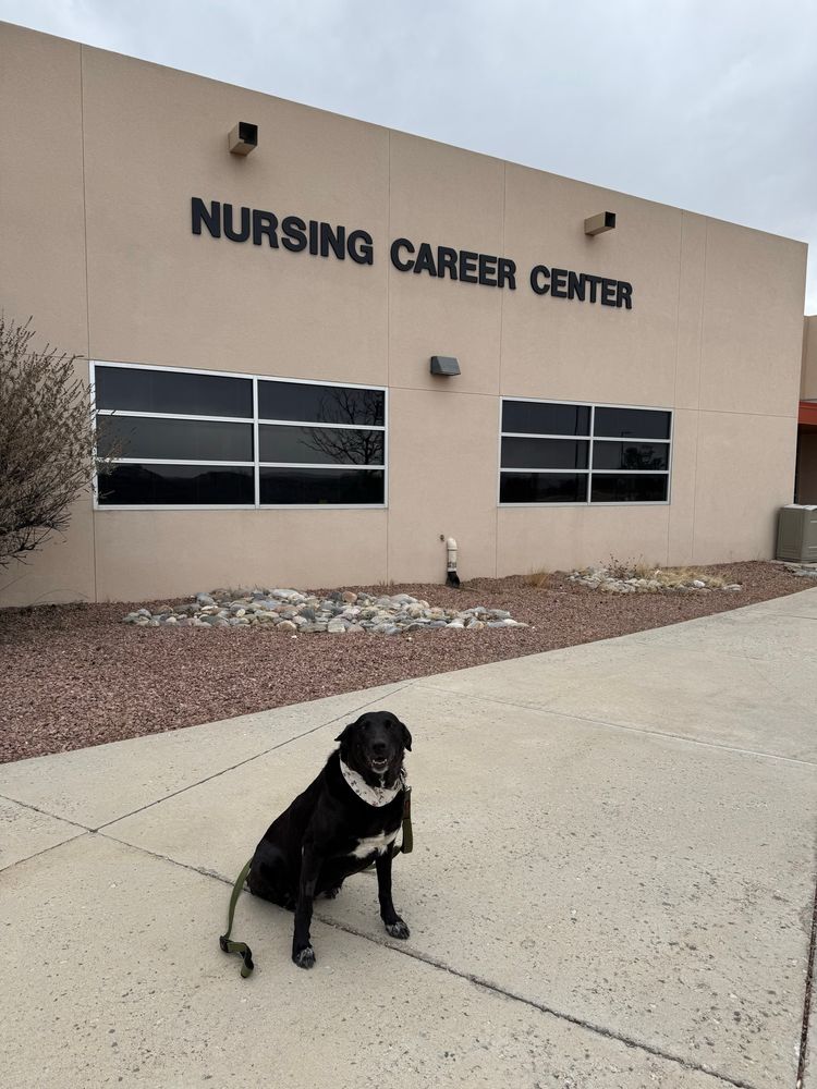 The black dog with the white star on her chest sits in front of a tan stucco building, with the words Nursing Career Center over two large windows. 