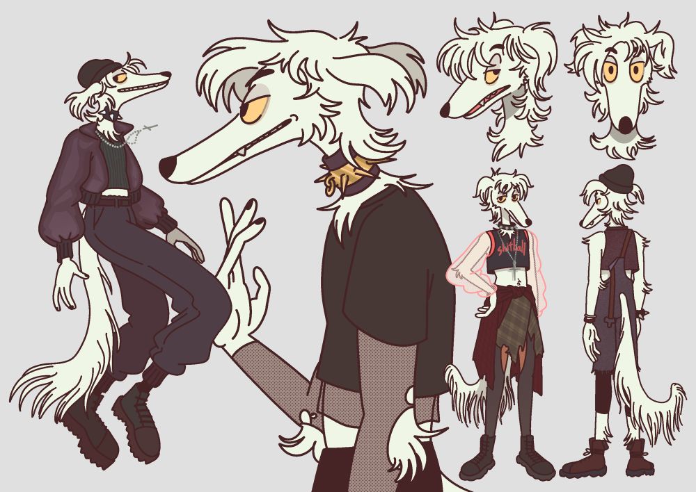 A borzoi shows off some great fashion sense. 

#repoart