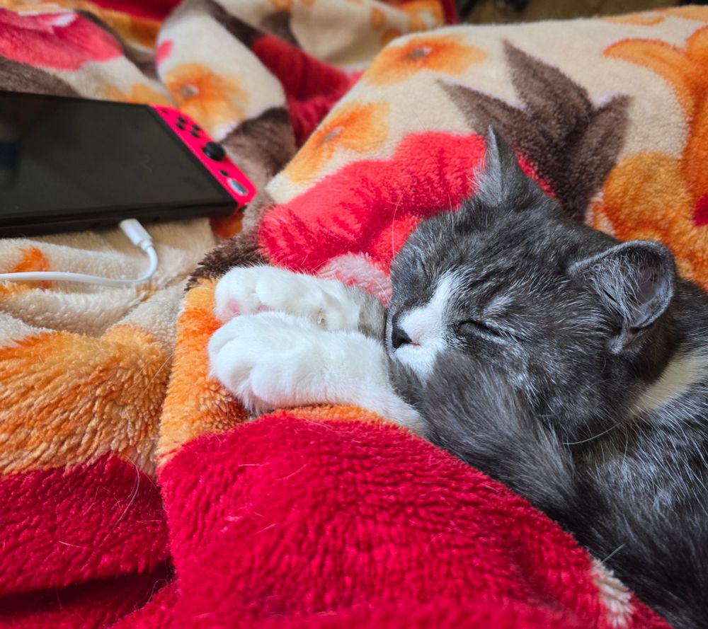 A sleeping silvery grey cat on a red and orange blanket, a nintendo switch is plugged in in the background 