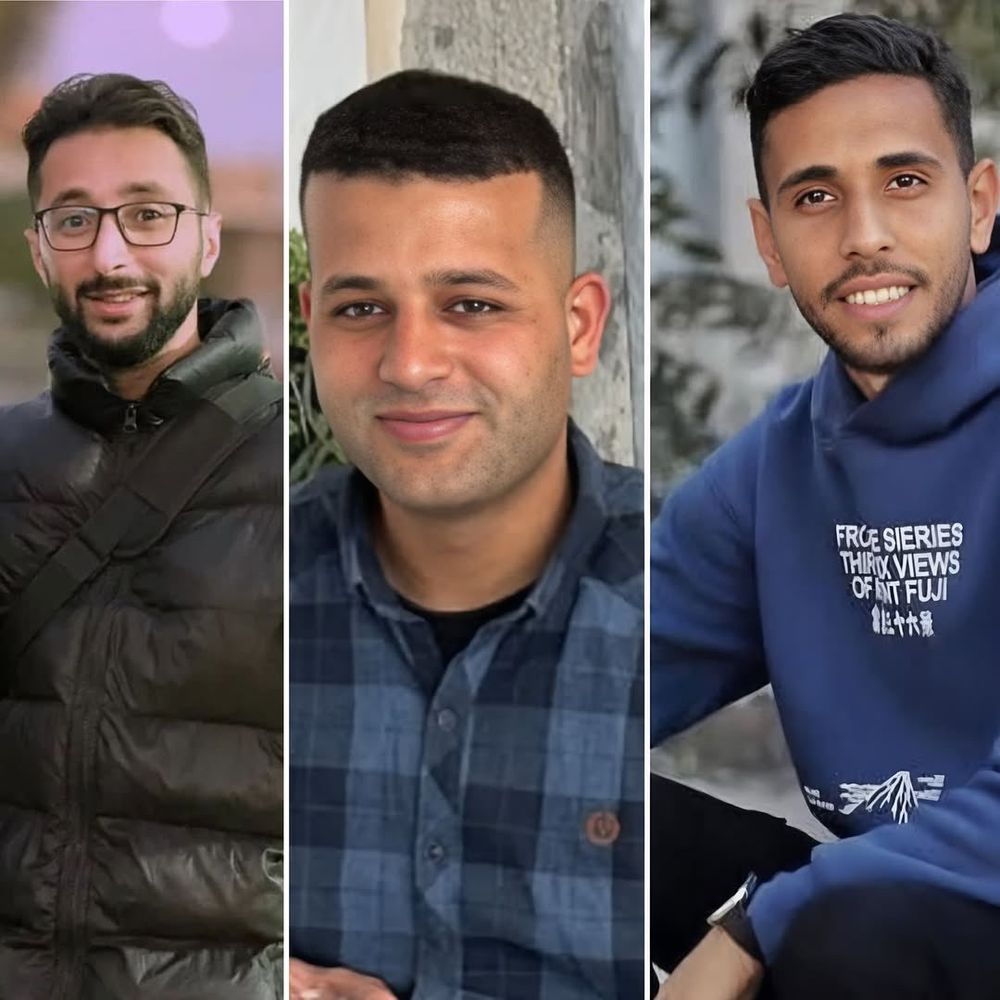 a collage shows three young men smiling 